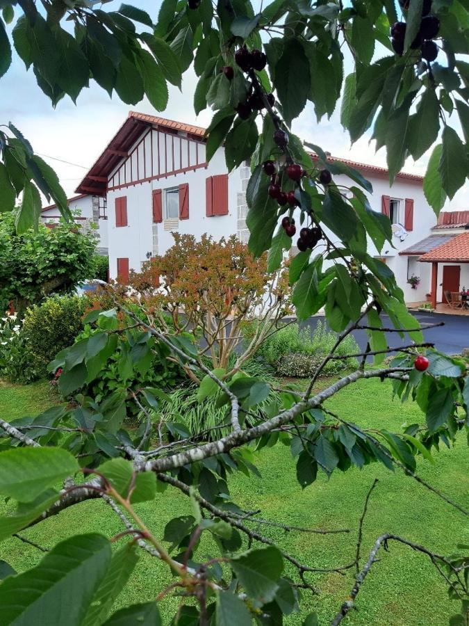 Maison Errientania Souraïde Εξωτερικό φωτογραφία